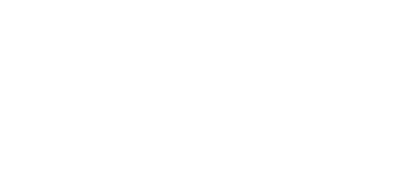 S4IT consultants